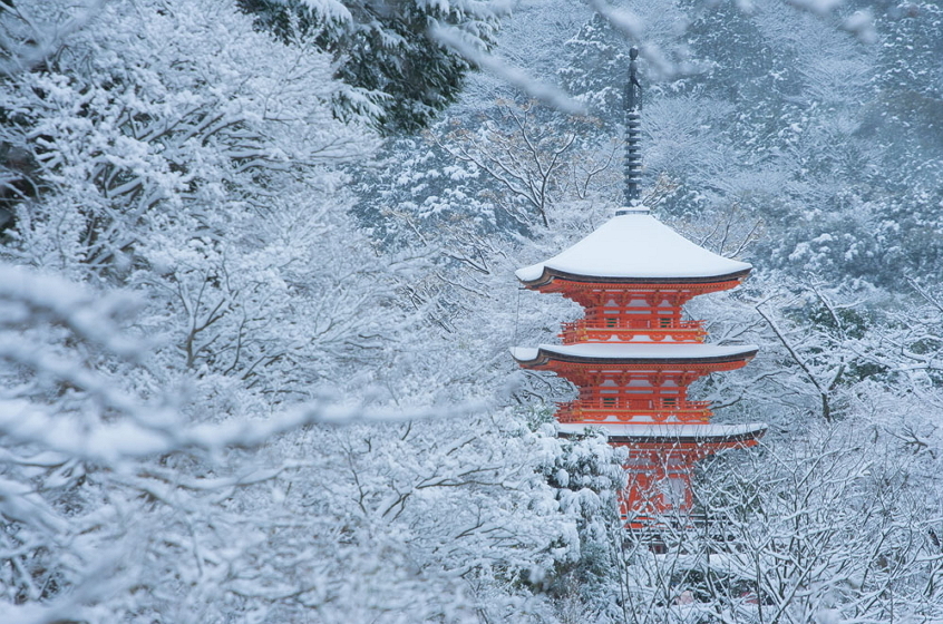 VISIT JAPAN Travel & MICE Mart 2022 VJTM2022